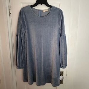 Long Sleeve Velvet Dress